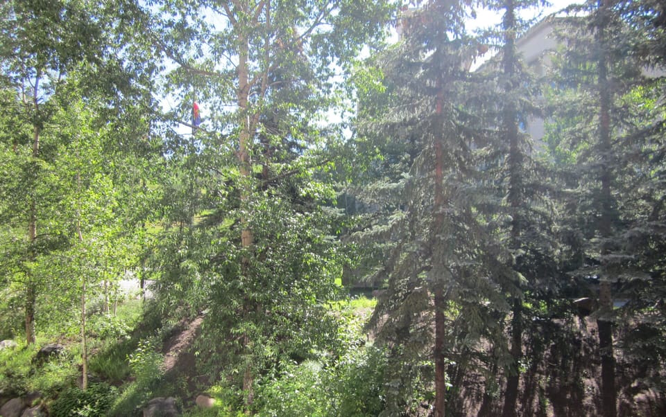 Balcony view