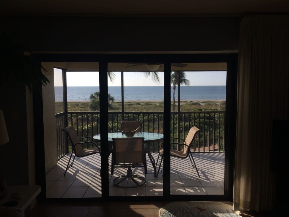 View from Living Room
