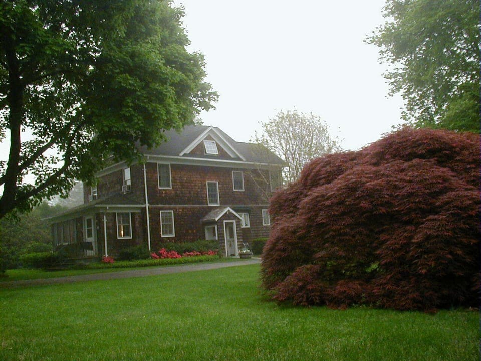 Mature plantings frame this Village home.
Azaleas in bloom on a foggy June morn.