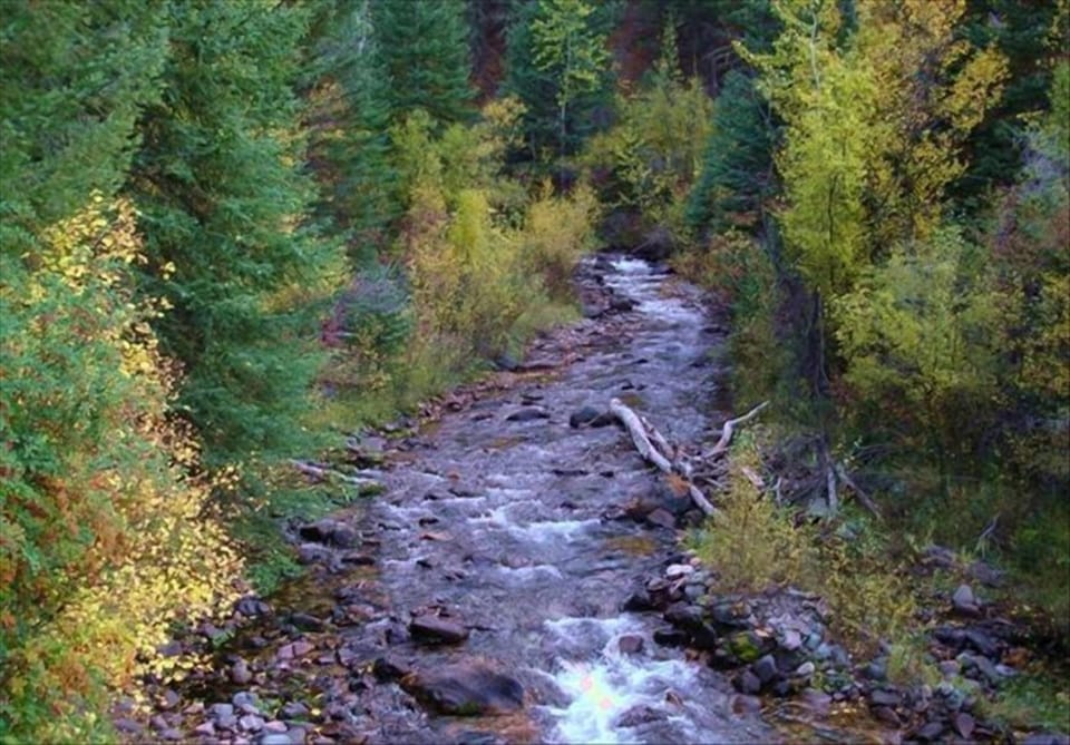 Emigrant Creek, flows by the cottage