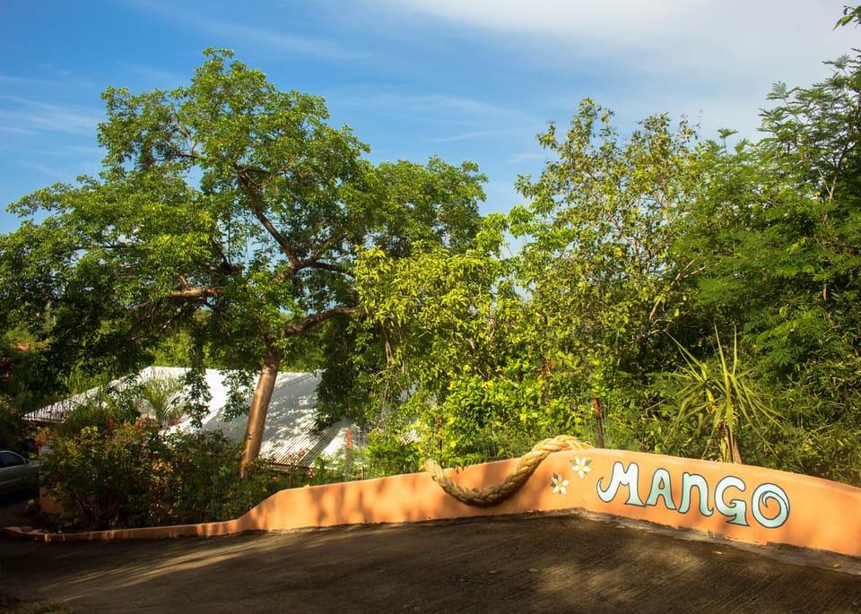 Top of Driveway Wall