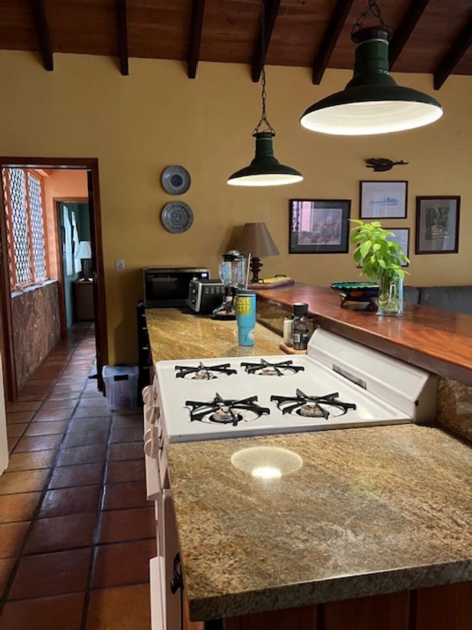 Open Kitchen/Living Room