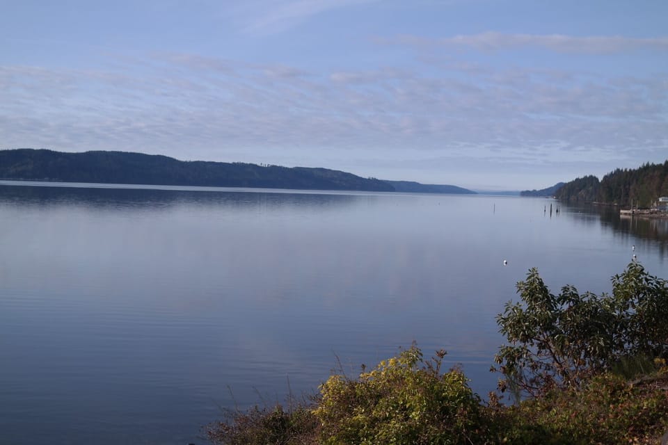 View from deck looking south down the canal.