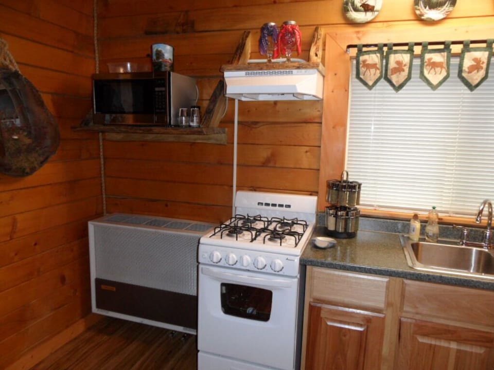 Stove and microwave