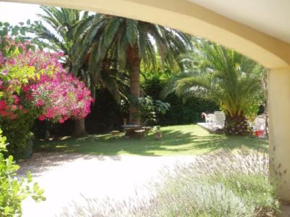 Garden, Park