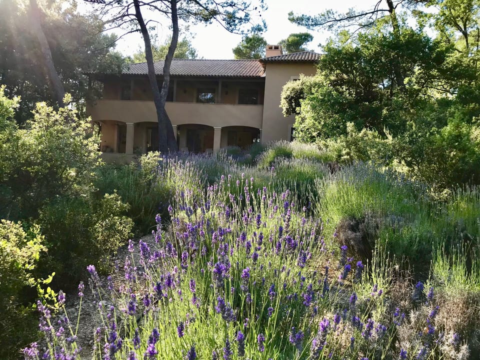 Luxury Bastide in Authentic Provence
