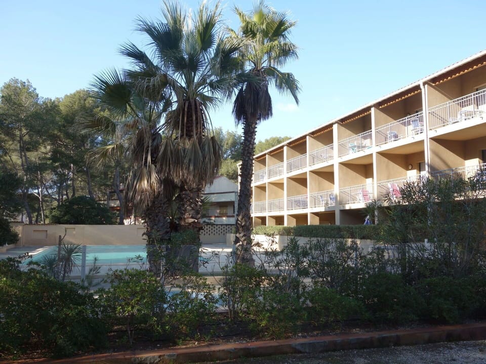 Tree, Architecture, Palm Tree, Sky, Arecales, Woody Plant, Real Estate, Plant, Building, House