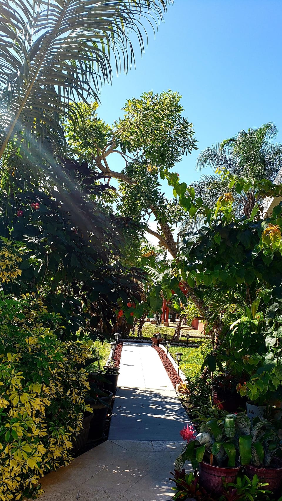 sidewalk around the house will take you to your accommodation