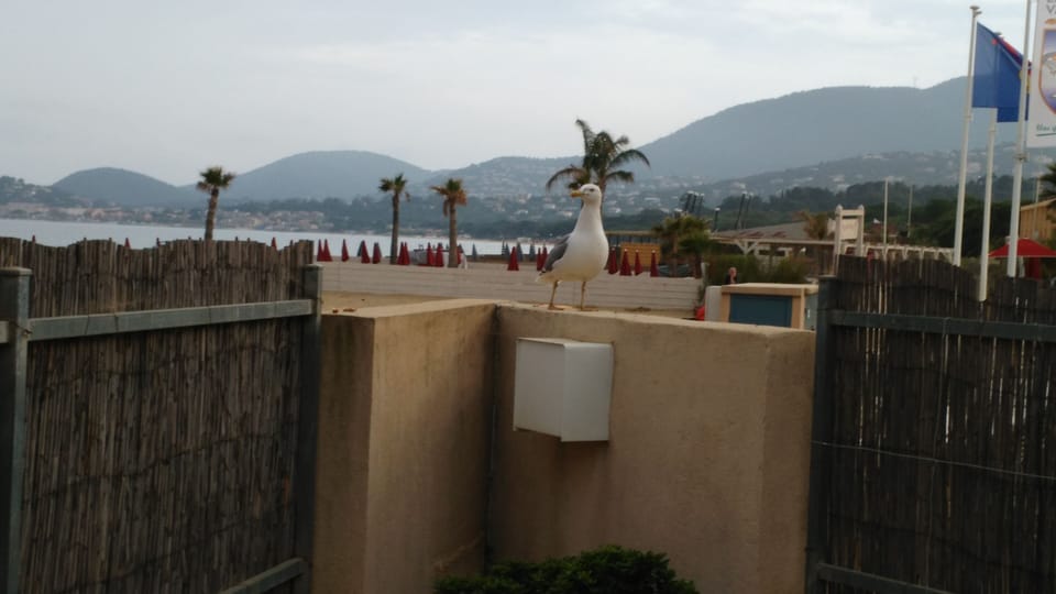 View from property