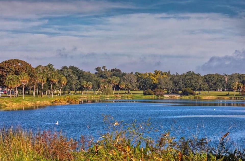 Pelicans, Pickle Ball Courts and beautiful setting.