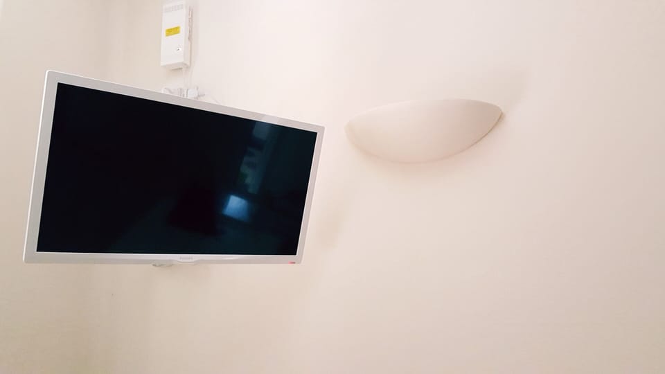 Television