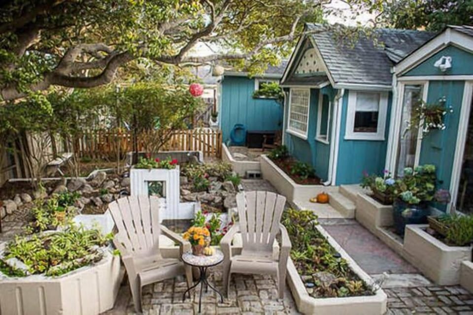 View of back garden