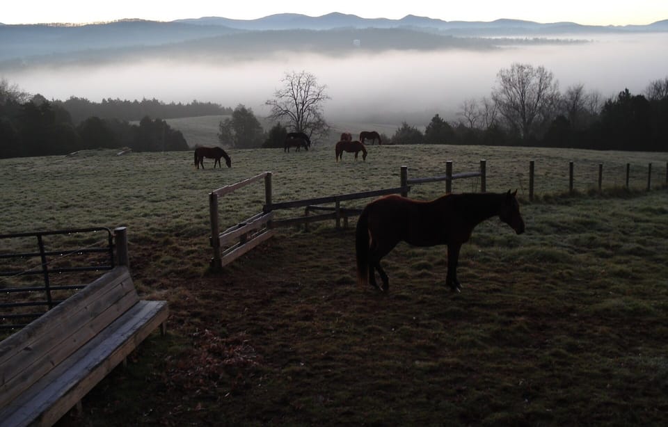 View from the deck on a misty morning