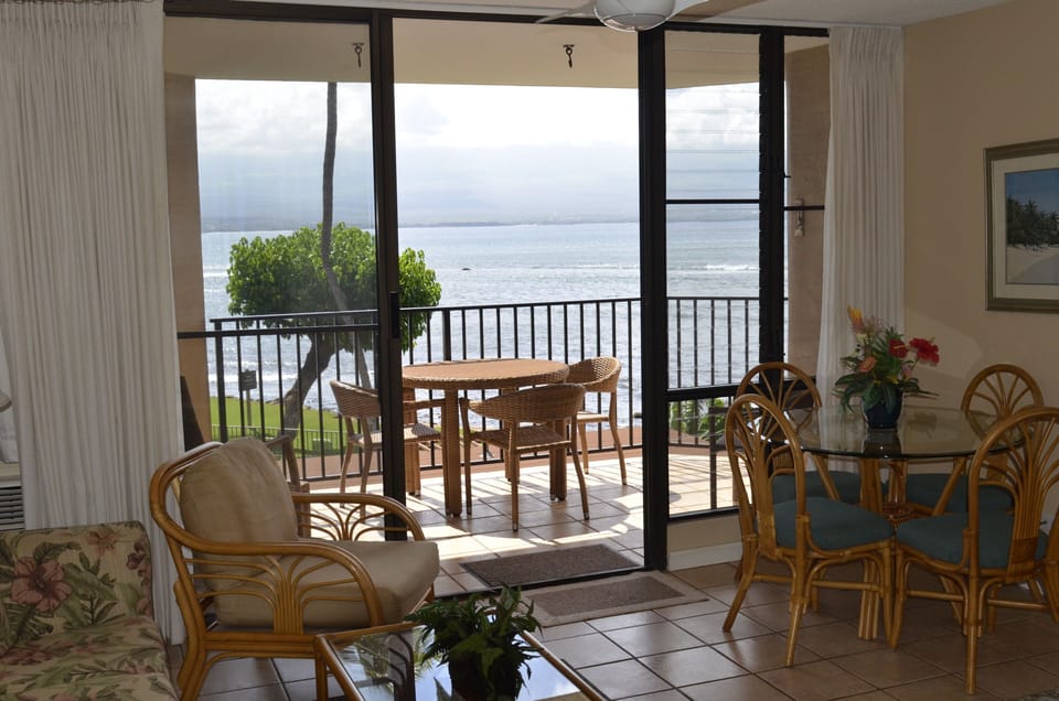 Looking out from the living room!