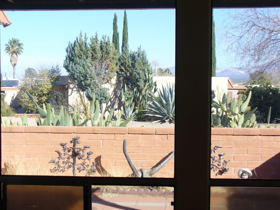 View From Living Room Into Front Patio and Common Space