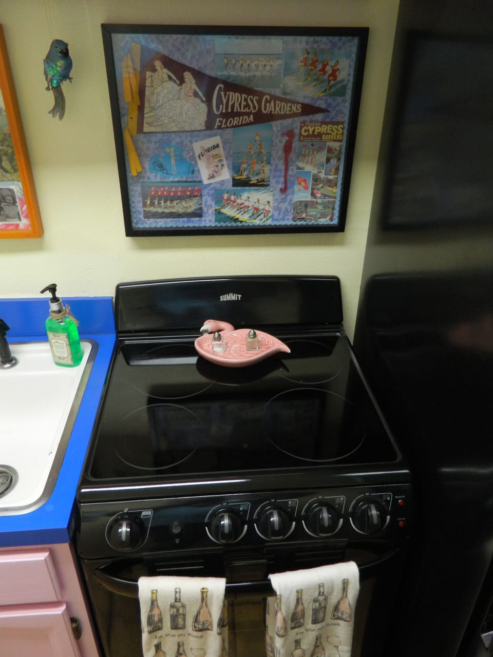 Black glass top stove with retro pink cabinets.
