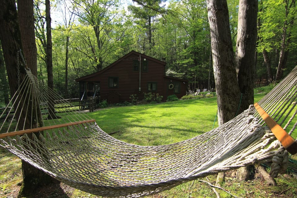 sideyard: swing in the hammock under the birch trees.