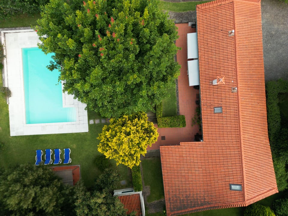 Swimming pool and garden