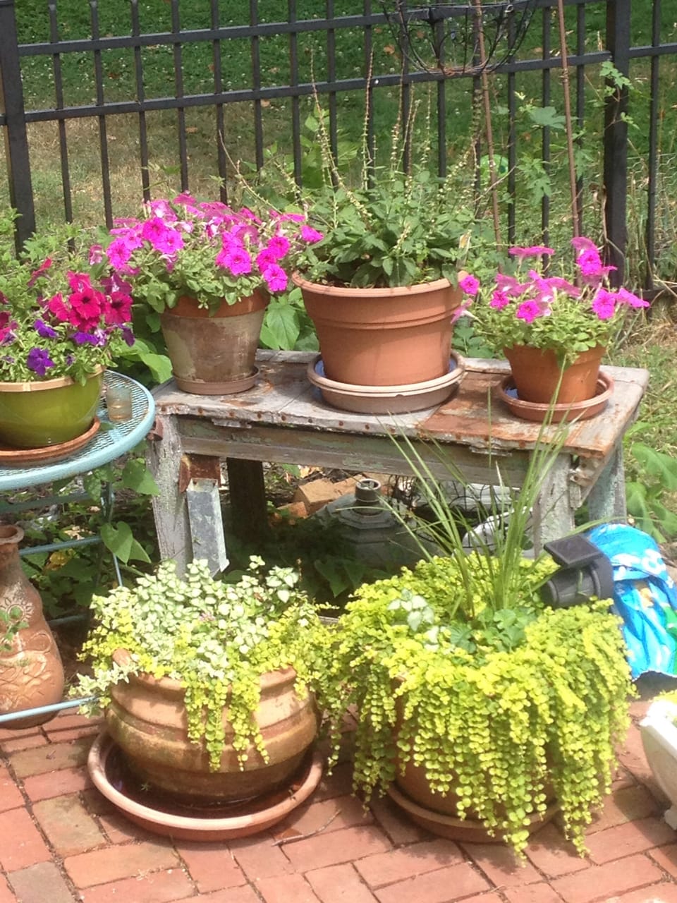 Enjoy colorful flowers bordering the aged brick patio.