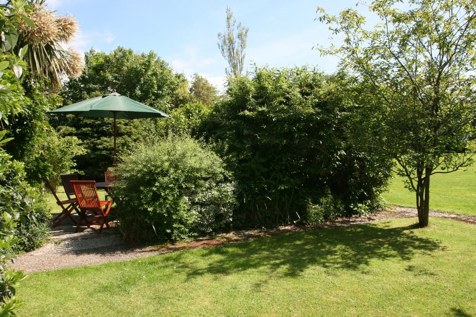 Patio area