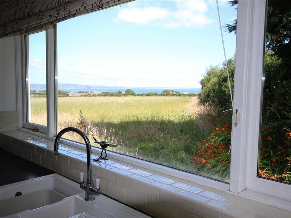 View from the kitchen sink!