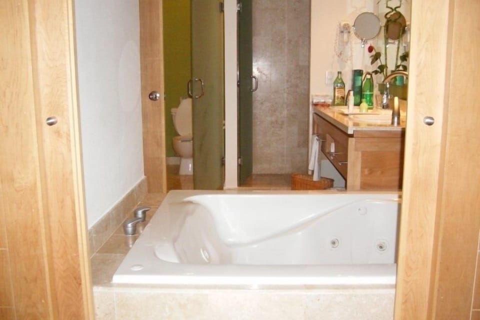 Bathroom View and Jacuzzi Tub
