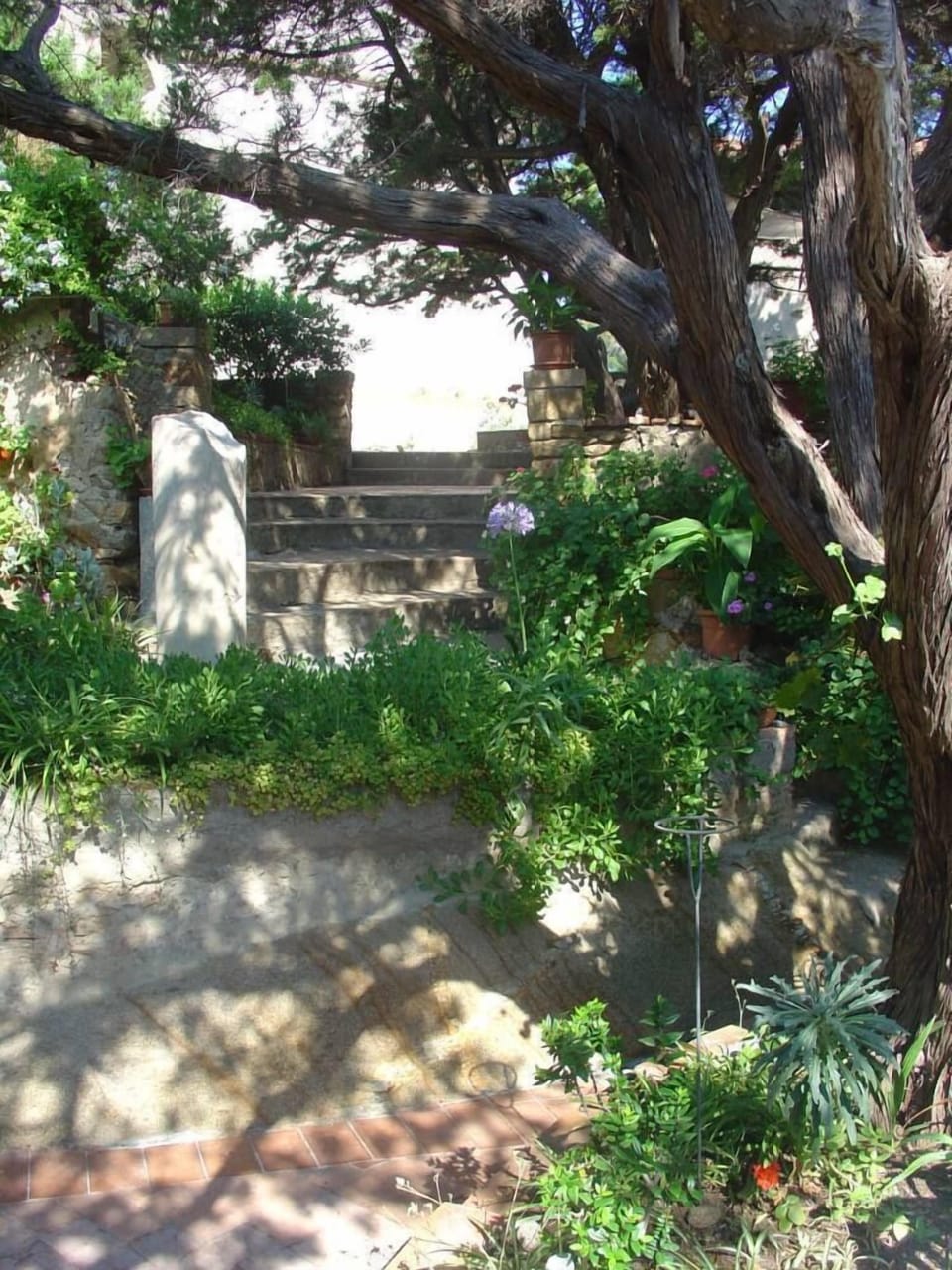 Garden, Park