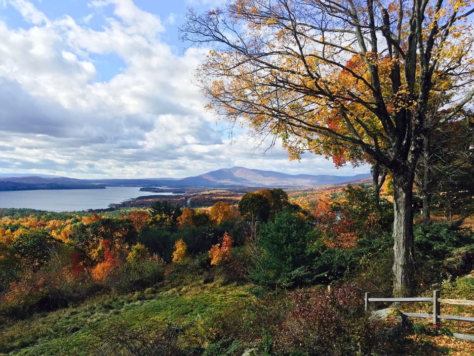 View from back yard.