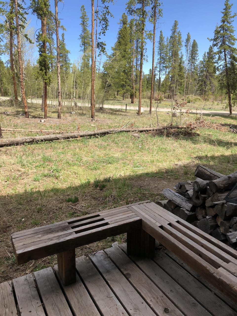 Backyard deck with view of the national forest 