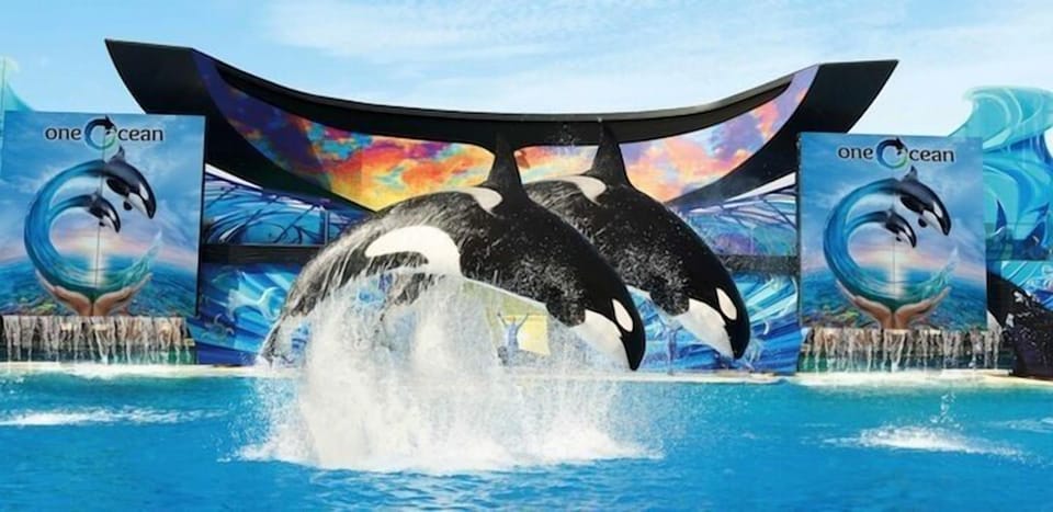 Sea World 