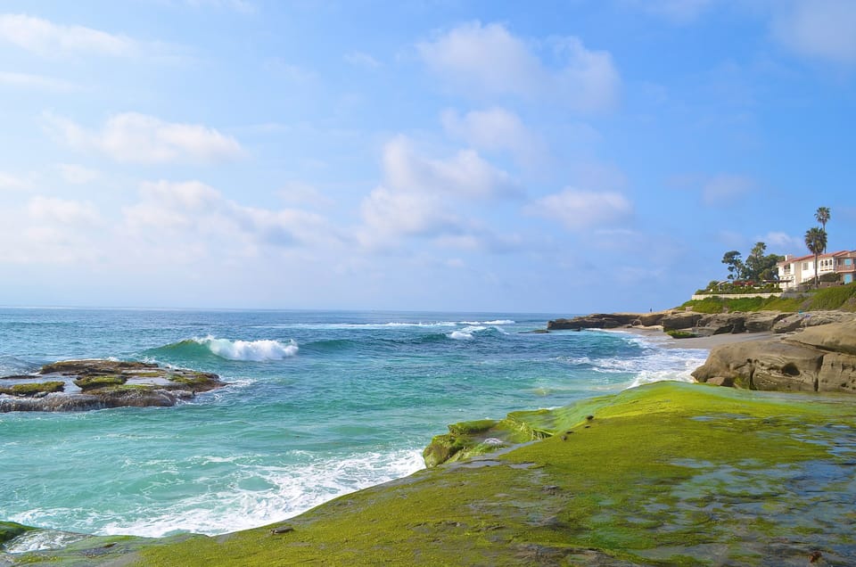 Windansea Beach in beautiful La Jolla.