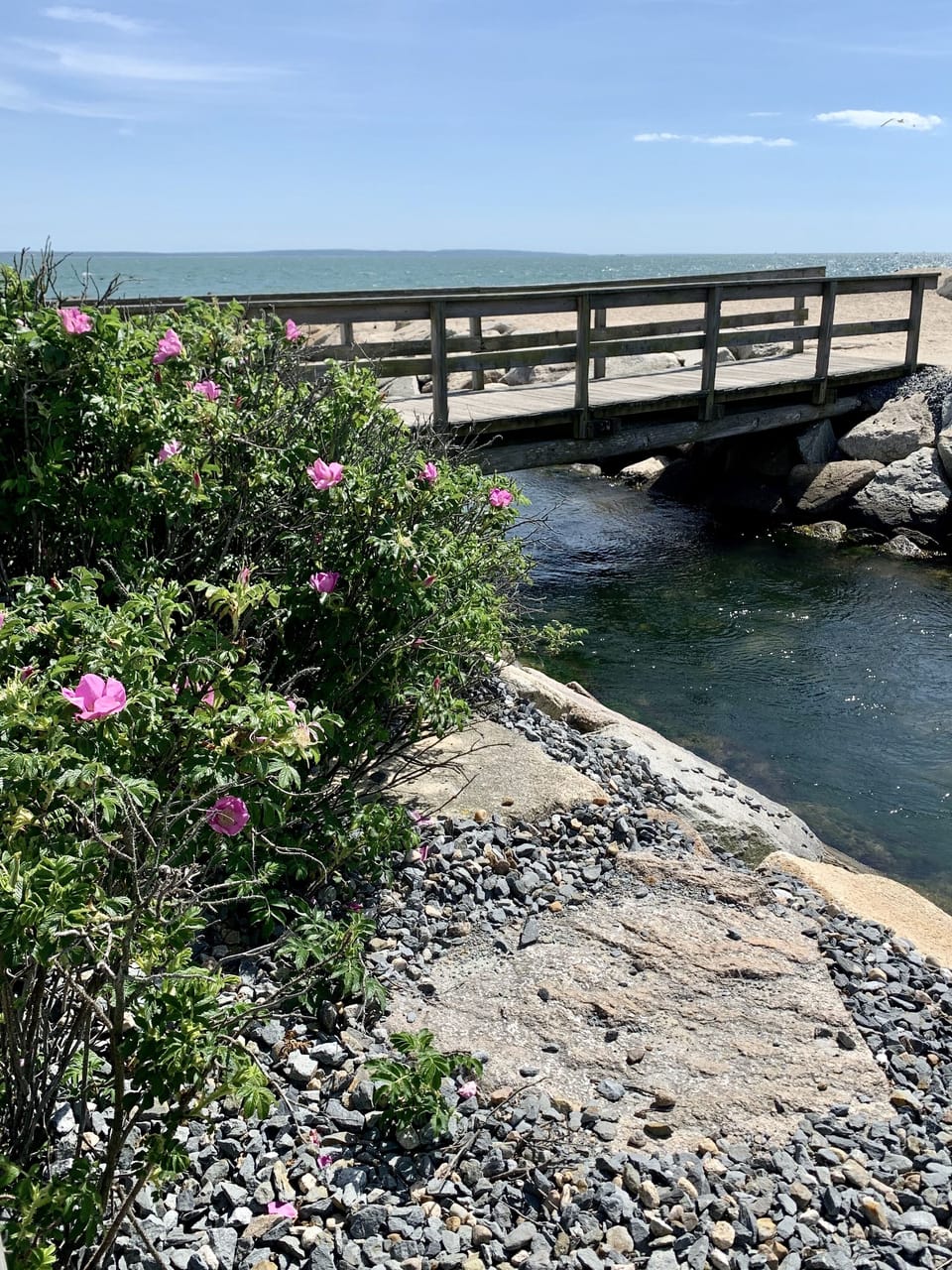 The Bristol Beach foot bridge and Martha’s Vineyard view