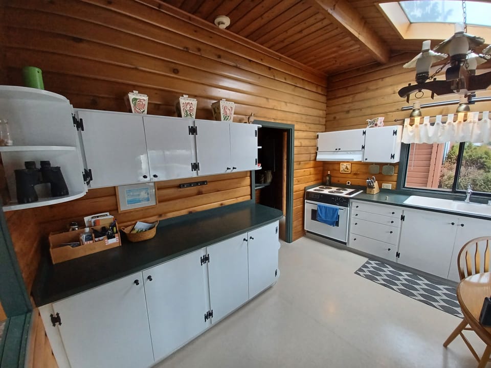More of the kitchen