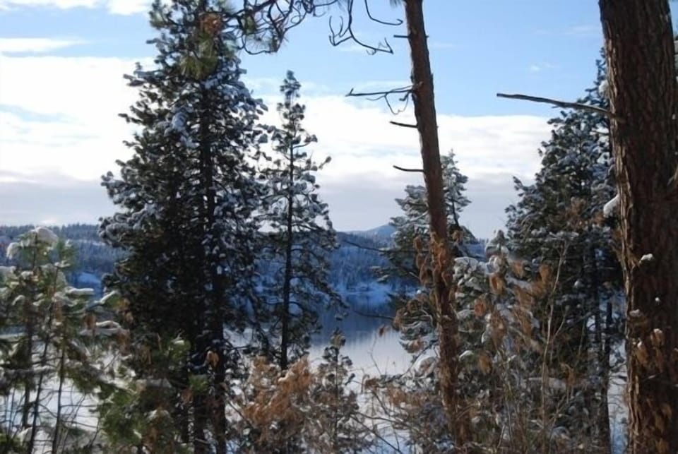 Winter wonderland