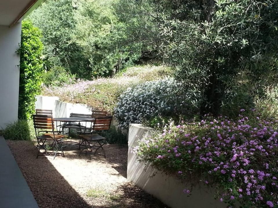 Garden, Park