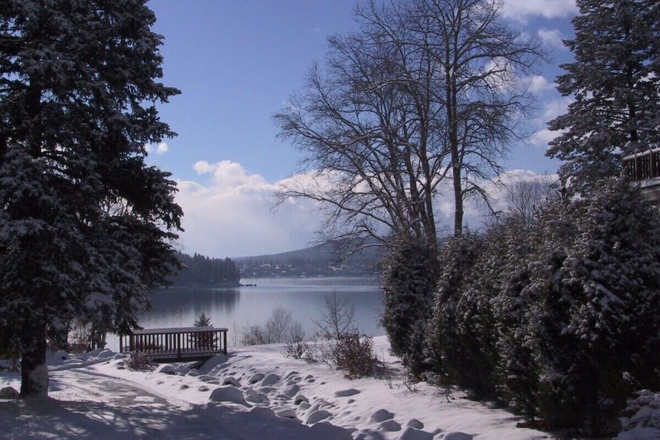 Winter Wonderland