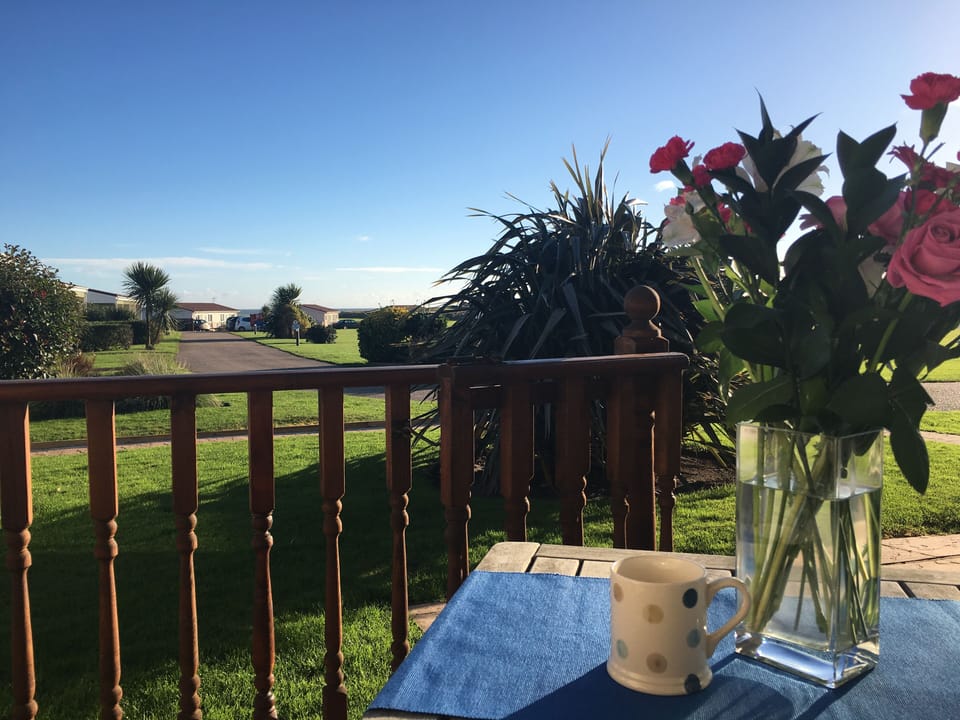 The view from the decking 