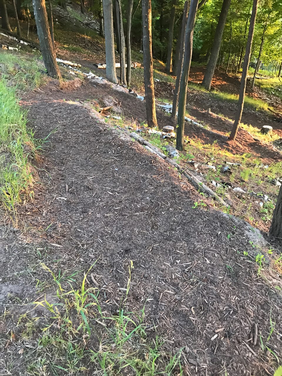 Wood chip zig-zag through the woods on bluff (looking down)