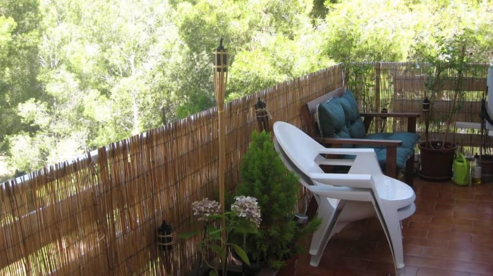Terrace / Balcony