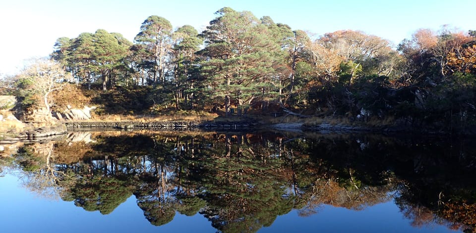 Stunning scenery in Killarney National Park