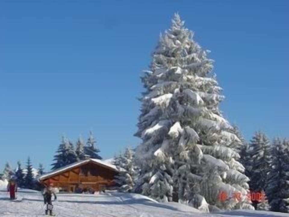 Les Igloo, time for lunch, yummy