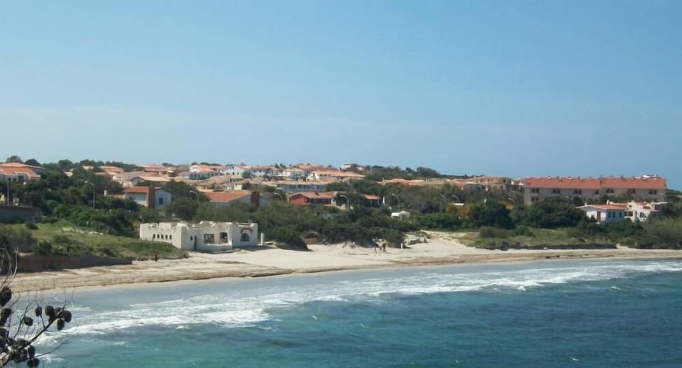 Beach view