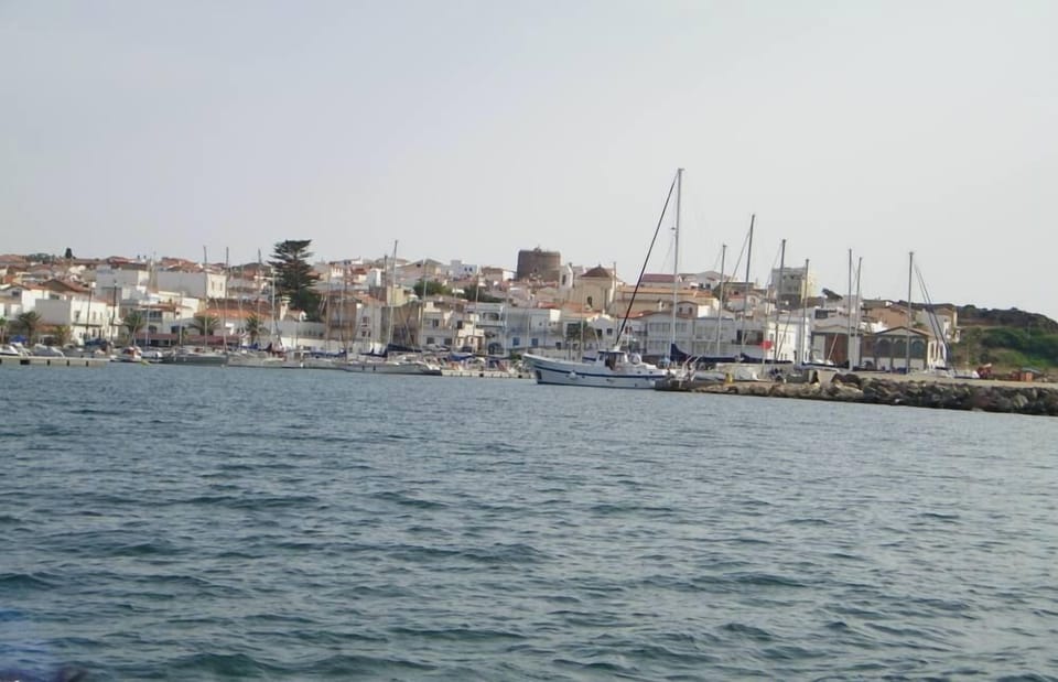 View