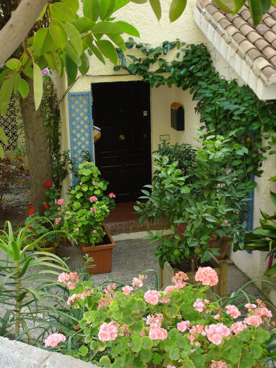 House entrance. Northeast terrace