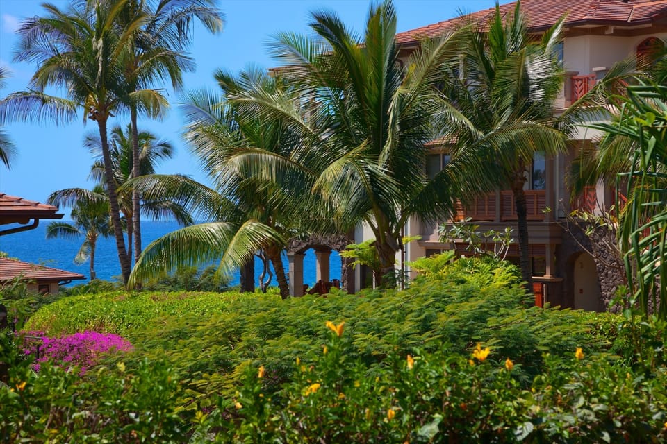 A close up look at the garden view towards the Pacific Ocean