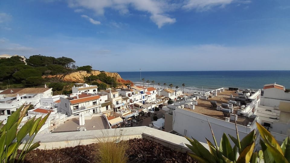 beach view from pool