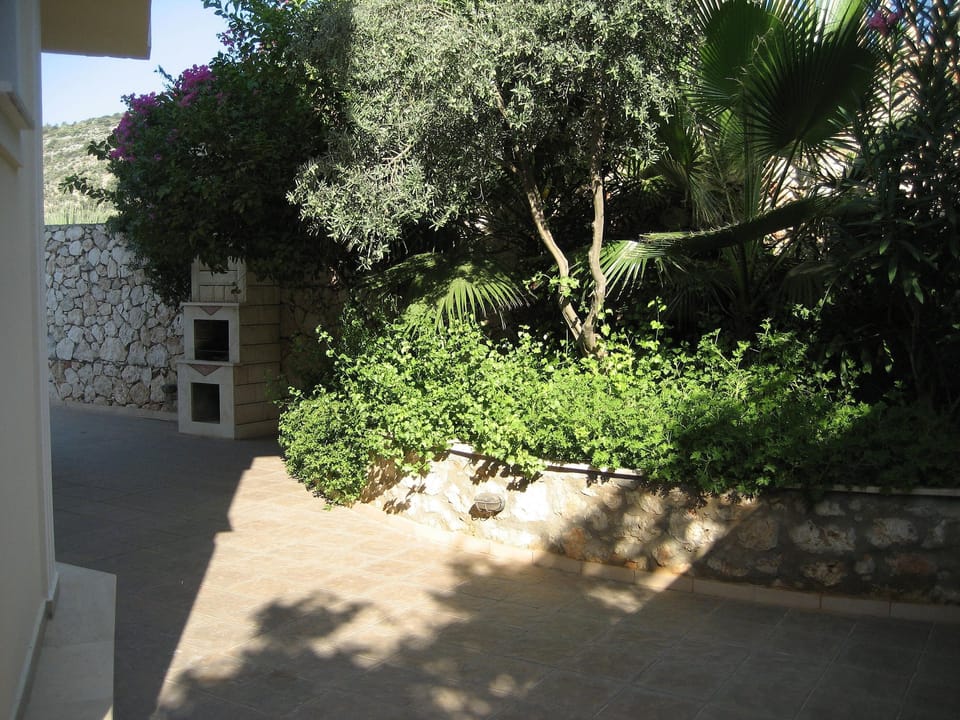 Shaded rear patio and garden area