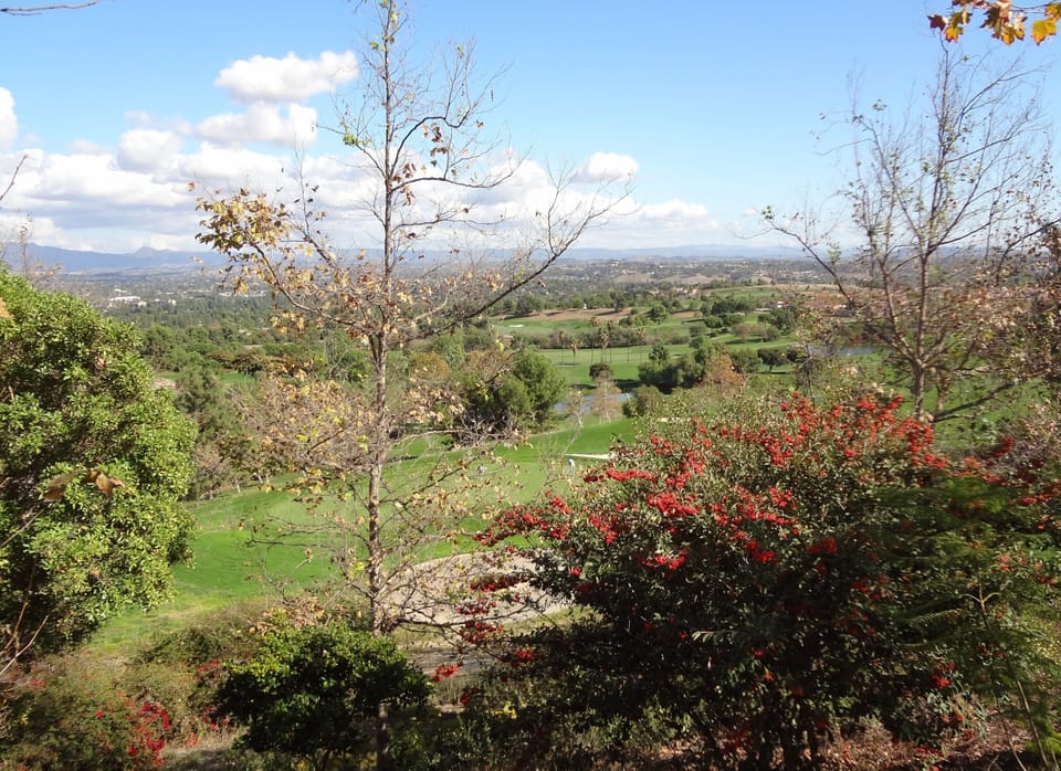View around Golf Course 