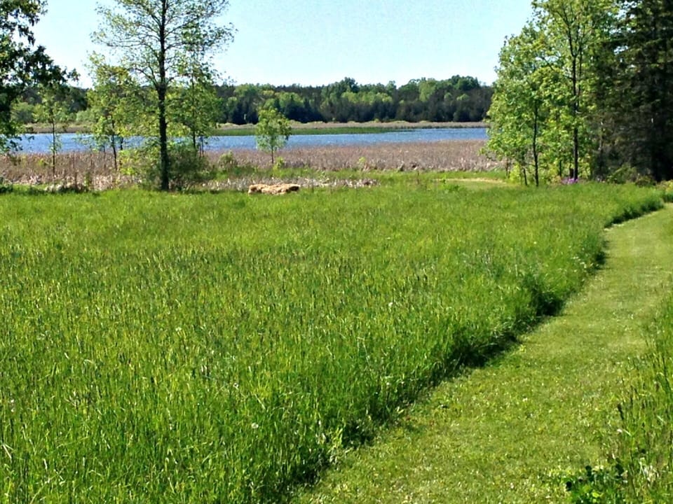 Path through the meadow to the bay