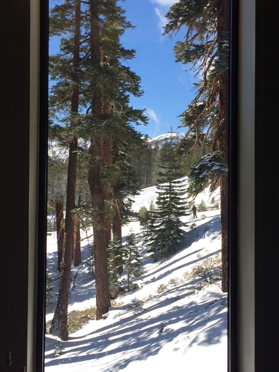 View from side windows of our place